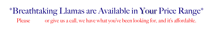 *Breathtaking Llamas are Available in Your Price Range*
Please e-mail or give us a call, we have what you’ve been looking for, and it’s affordable.
