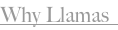 shapeimage_1_link_1