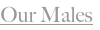 shapeimage_1_link_3