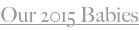 shapeimage_1_link_6